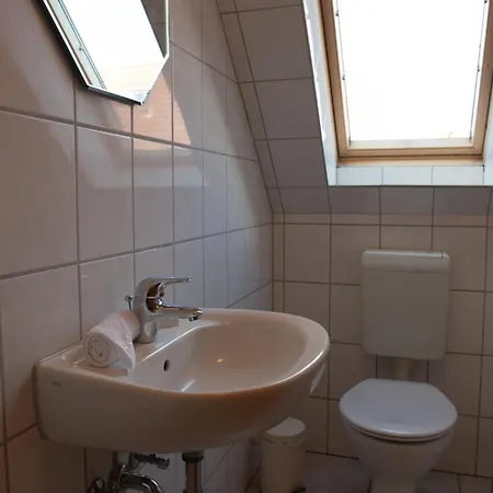 Rotbuche 2 Норддайх